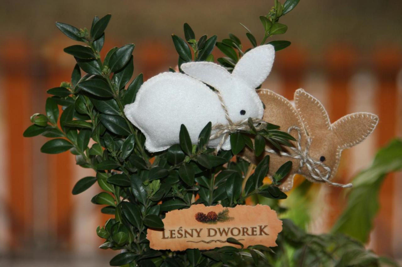 Lesny Dworek Bed & Breakfast Zakopane