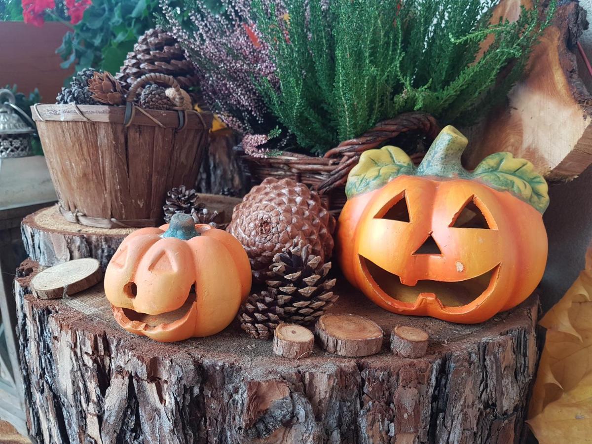 Lesny Dworek Bed & Breakfast Zakopane
