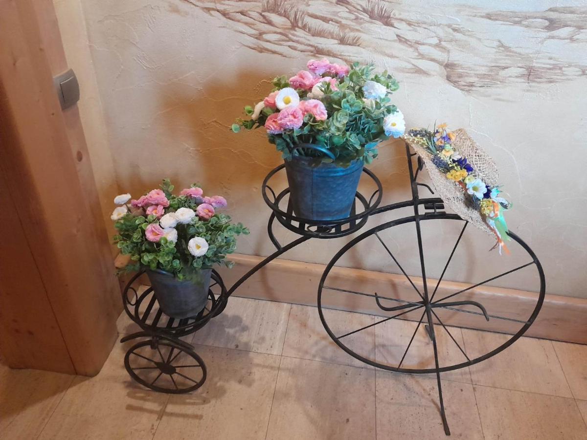 Bed & Breakfast Lesny Dworek
