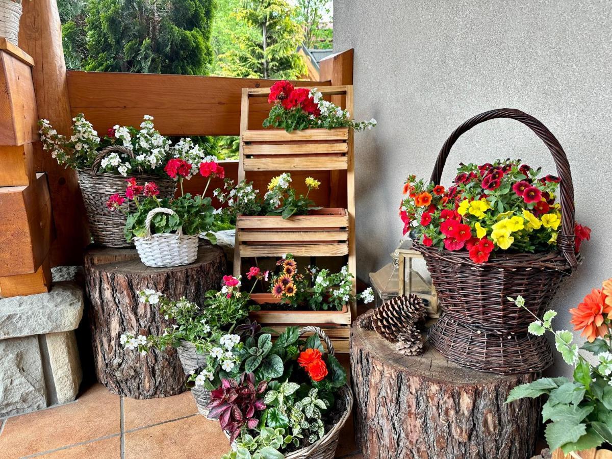Bed & Breakfast Lesny Dworek