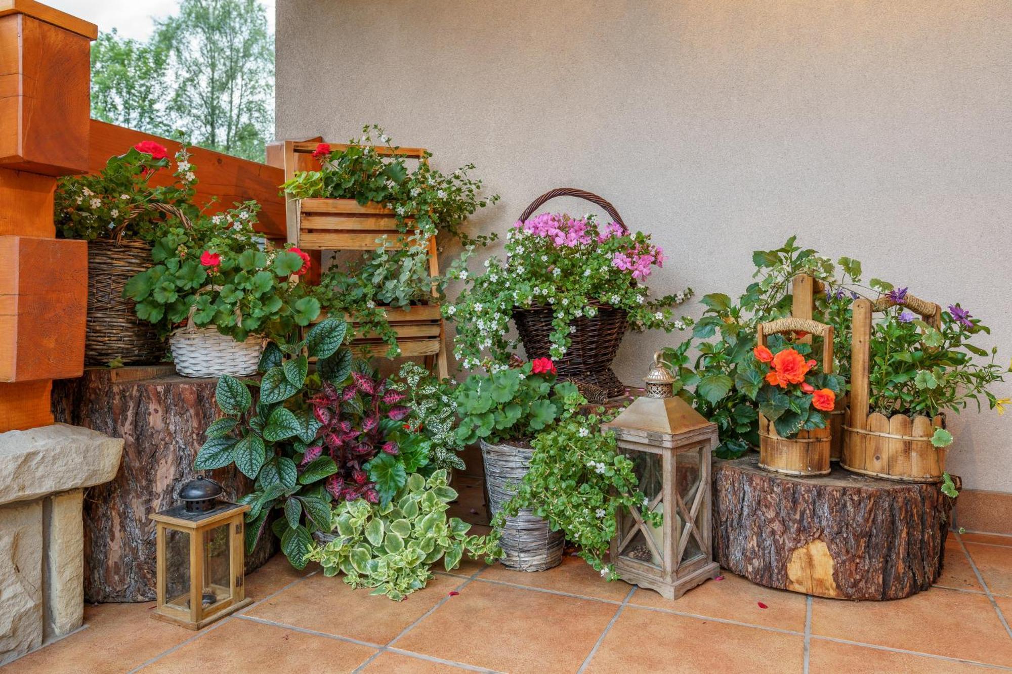 Lesny Dworek Bed & Breakfast 5*