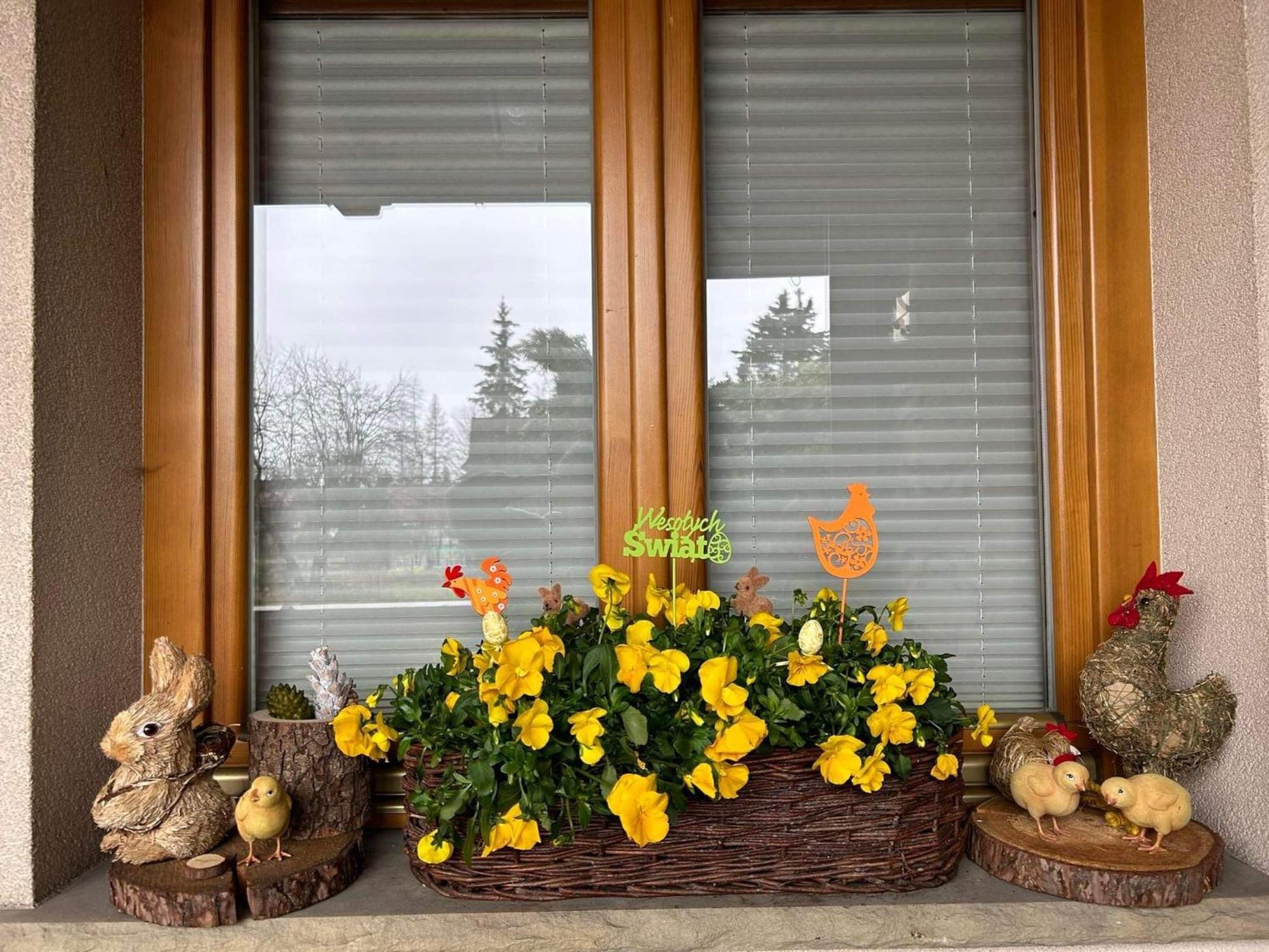 Bed & Breakfast Lesny Dworek 5*