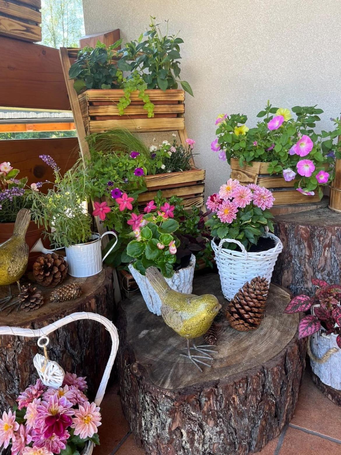 Bed & Breakfast Lesny Dworek