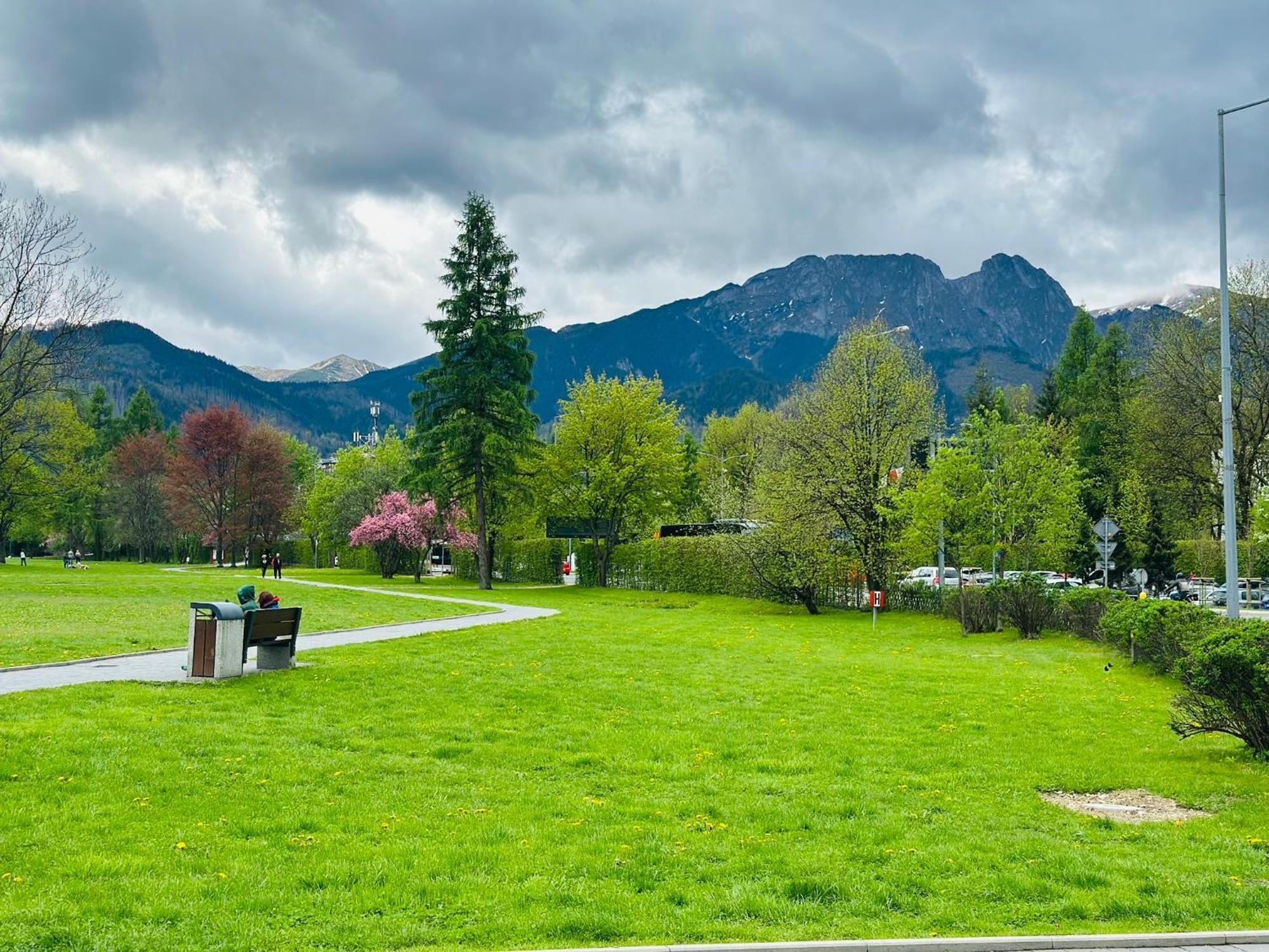 Lesny Dworek Bed & Breakfast Zakopane